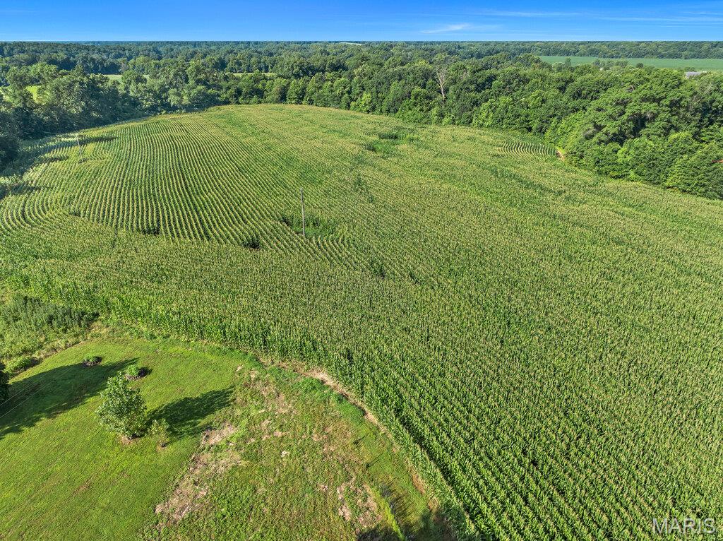 412 Penrod Road Troy, MO 63379 - Photo 48 of 48