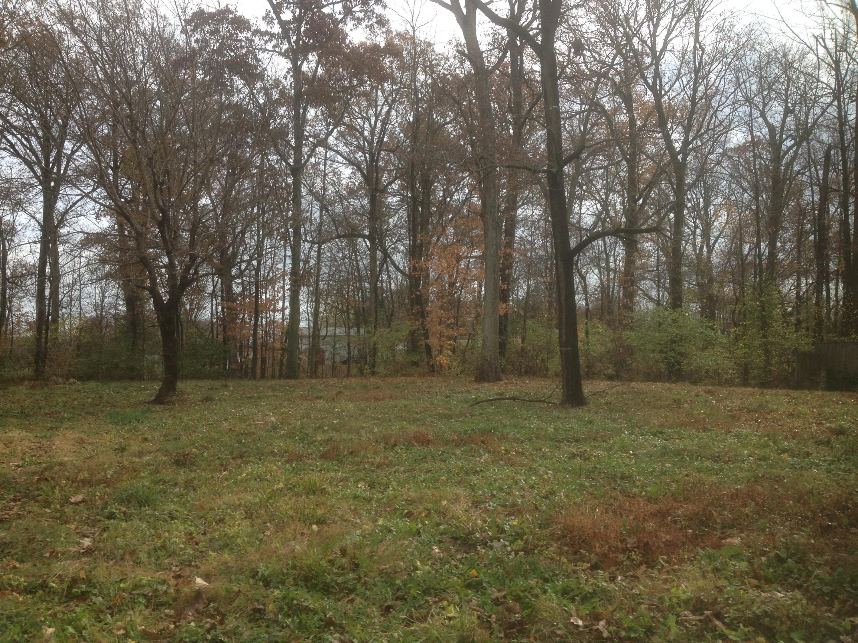 3263 East Pitchin Road Springfield, OH 45502 - Photo 4 of 17