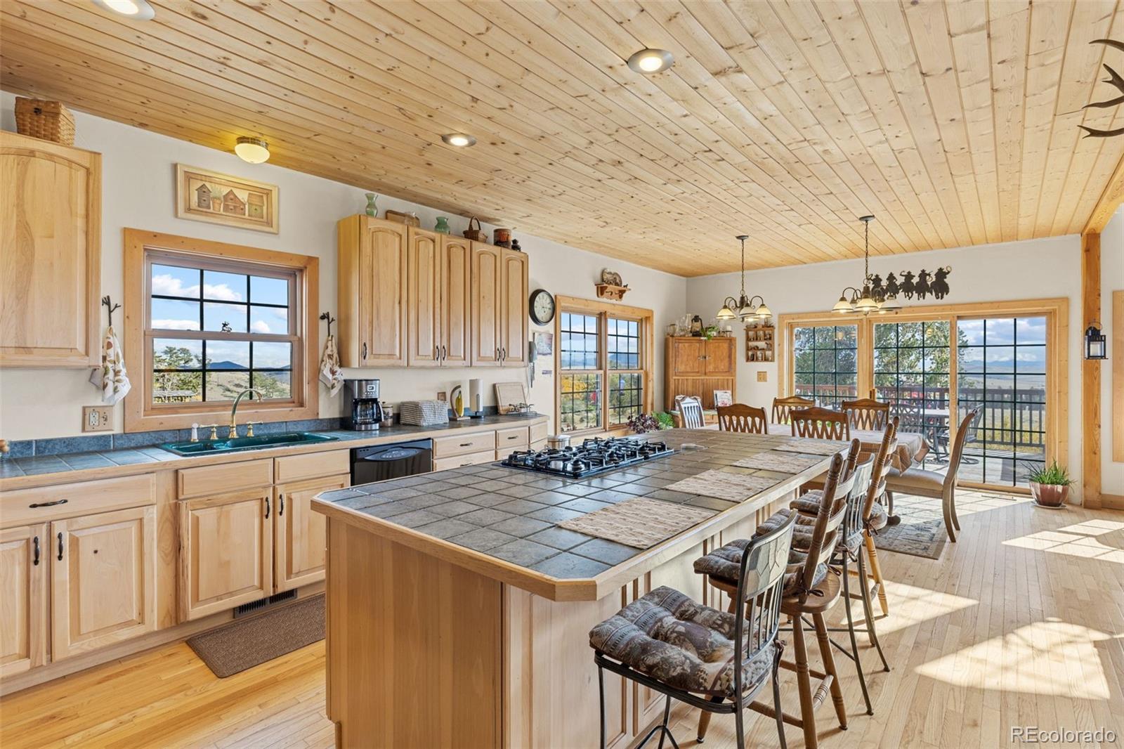 76 No Place Road Hartsel, CO 80449 - Photo 13 of 49