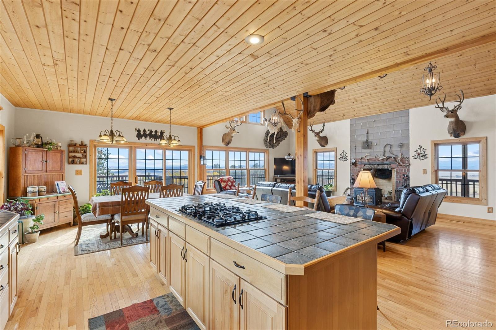 76 No Place Road Hartsel, CO 80449 - Photo 16 of 49