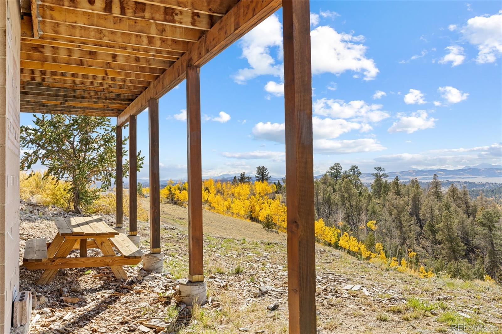 76 No Place Road Hartsel, CO 80449 - Photo 37 of 49