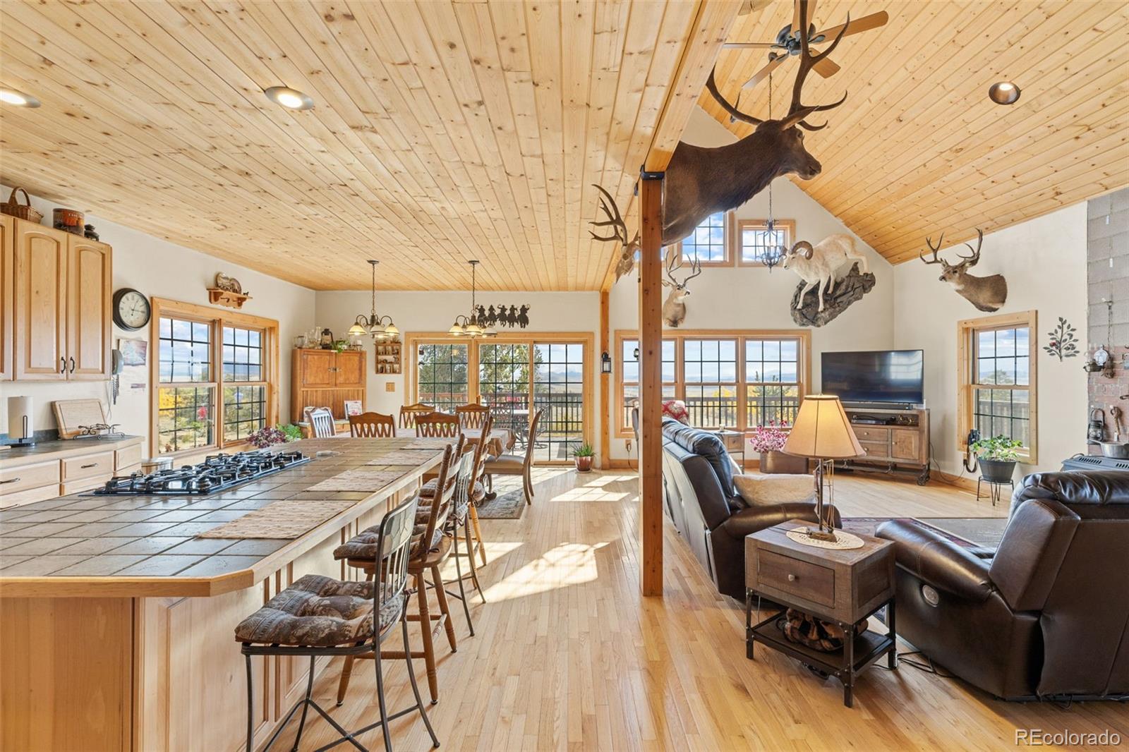 76 No Place Road Hartsel, CO 80449 - Photo 4 of 49