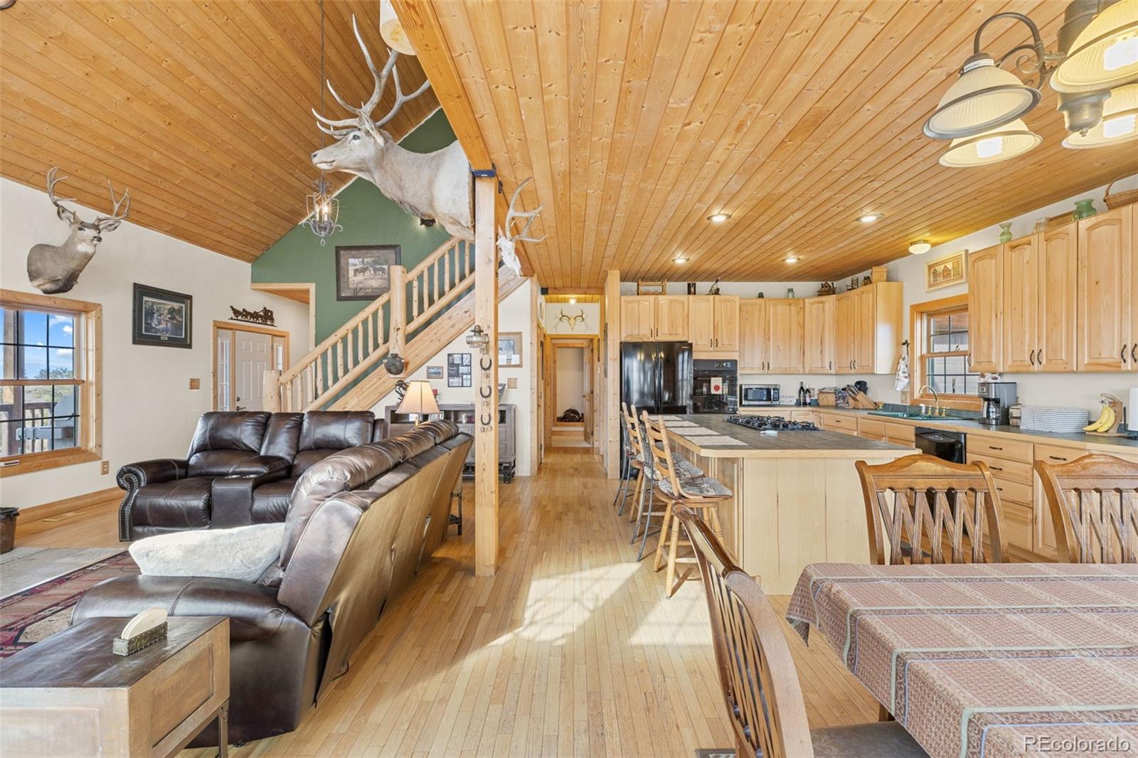 76 No Place Road Hartsel, CO 80449 - Photo 5 of 49