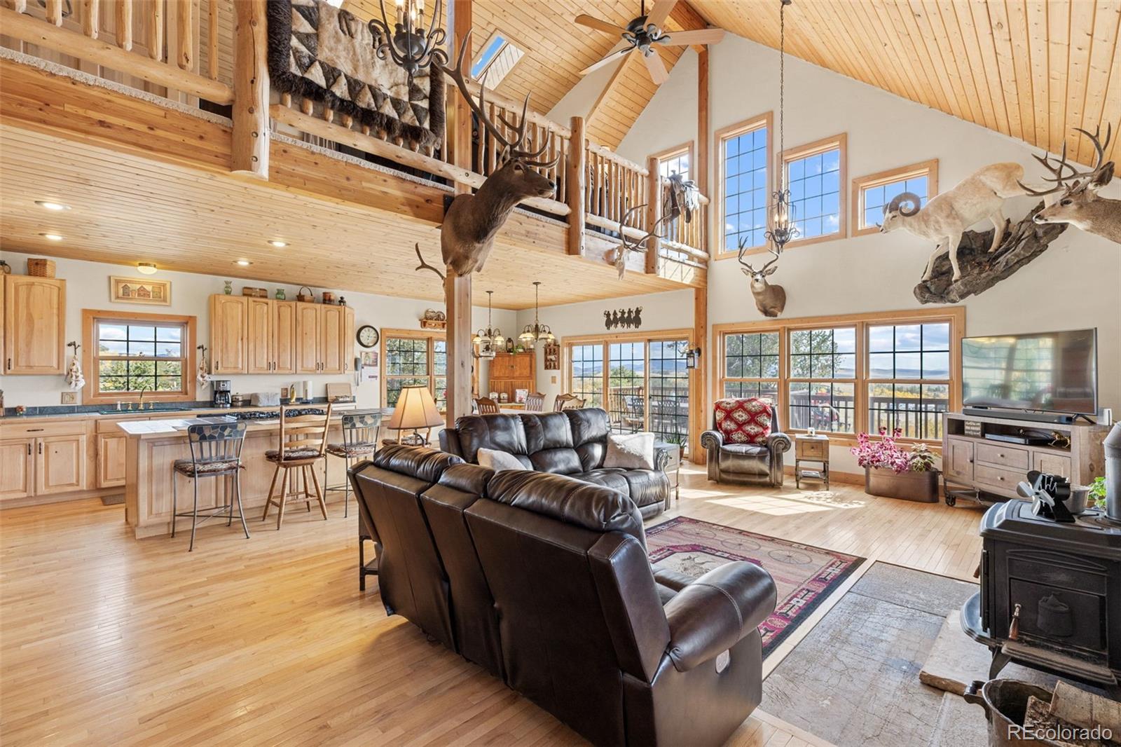 76 No Place Road Hartsel, CO 80449 - Photo 6 of 49