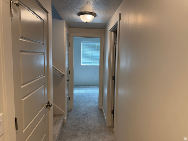 7743 West Mount Elinor Road Magna, UT 84044 - Photo 17 of 24