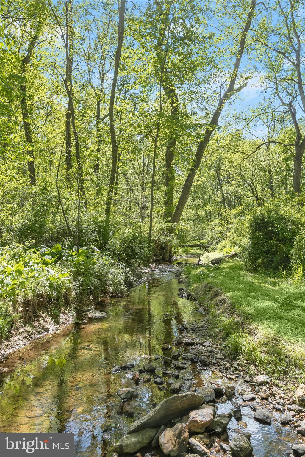 927 Buckhorn Road Sykesville, MD 21784 - Photo 127 of 147 Stream