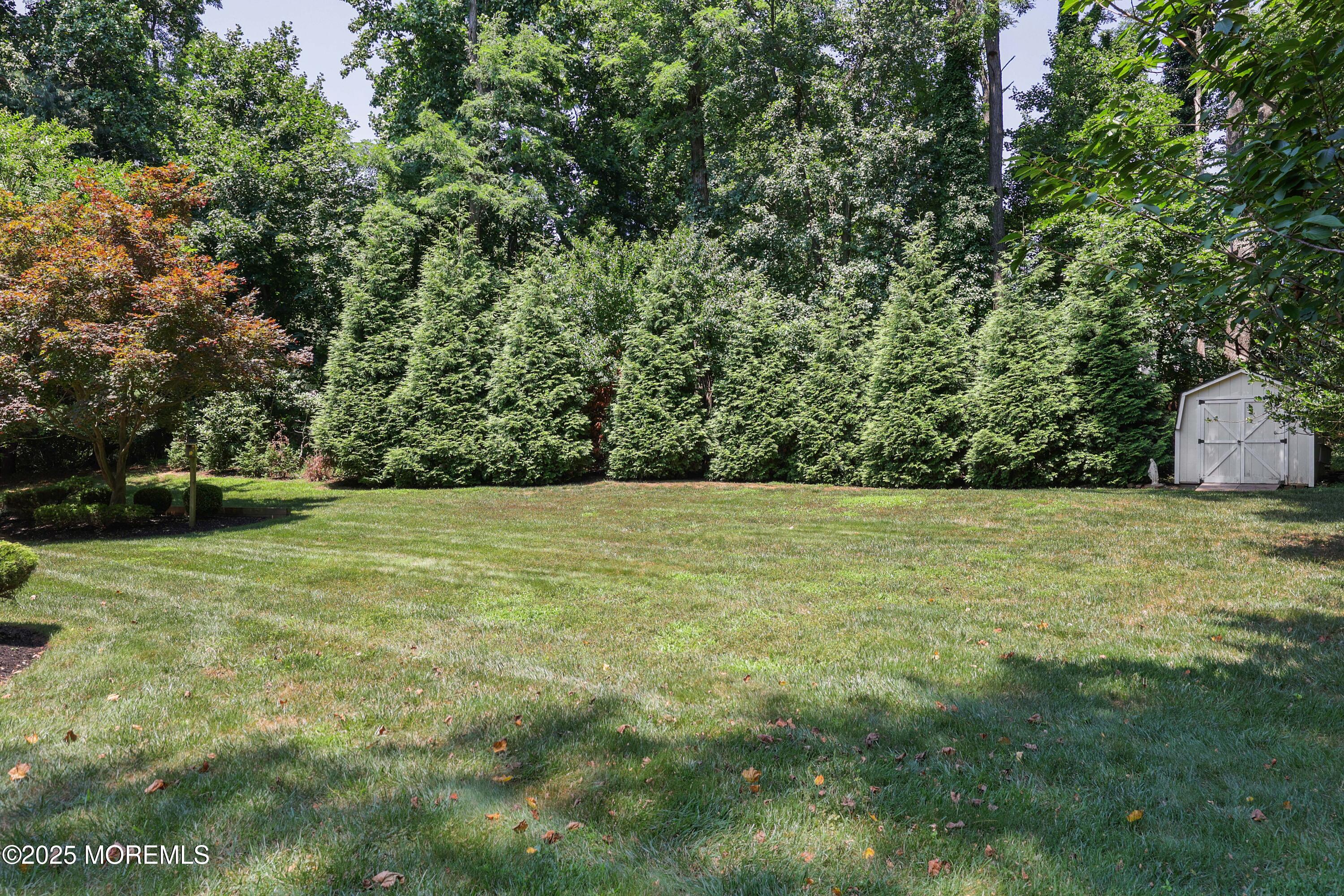 11 Lyon Road Middletown, NJ 07748 - Photo 13 of 58 Plenty of Room for a Pool