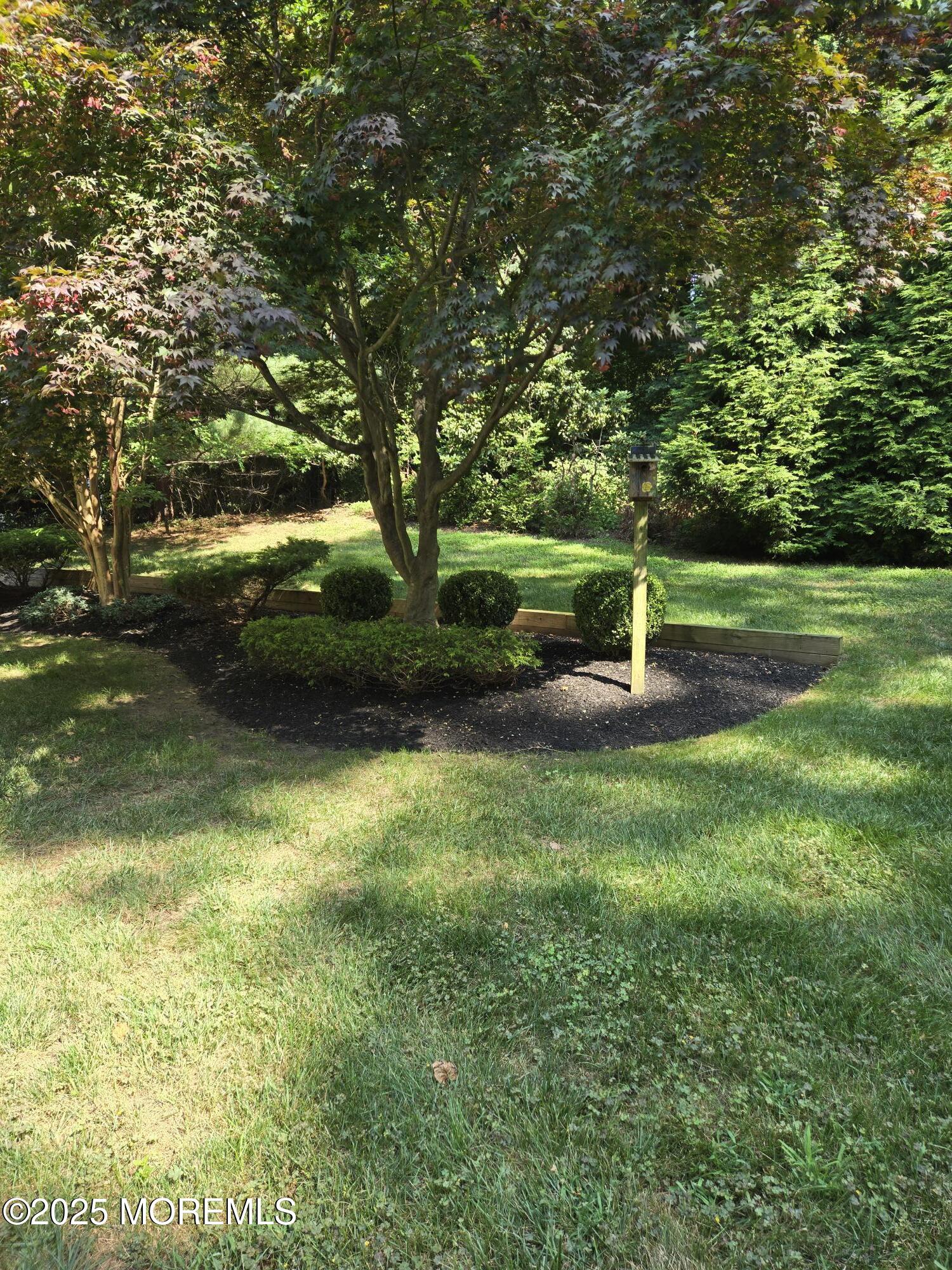 11 Lyon Road Middletown, NJ 07748 - Photo 55 of 58 Lush Landscaping