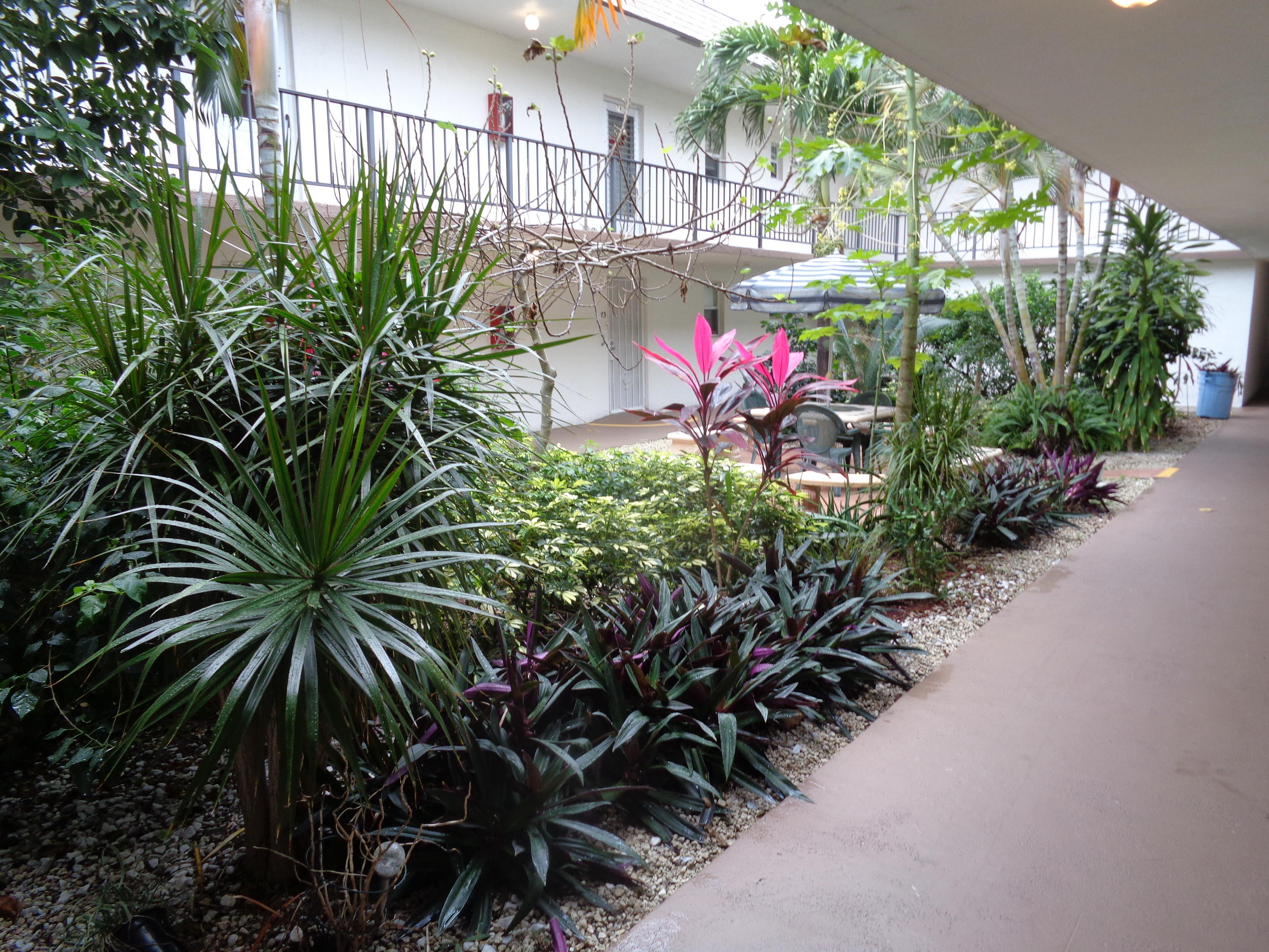 506 Davis Road, Unit 61 Palm Springs, FL 33461 - Photo 5 of 14 Garden