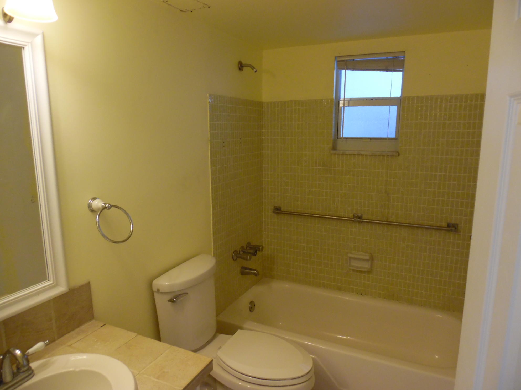 506 Davis Road, Unit 61 Palm Springs, FL 33461 - Photo 9 of 14 Bathroom