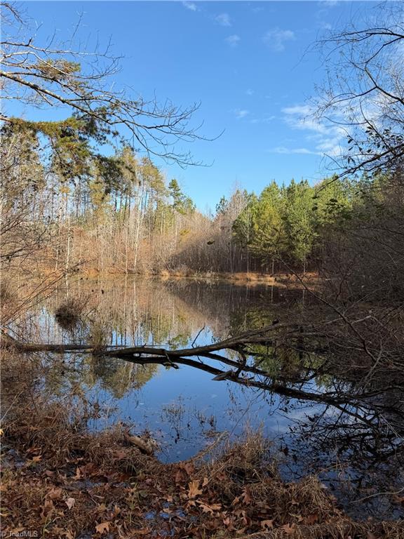 Lot 14 Park Springs Road Providence, NC 27315 - Photo 2 of 9
