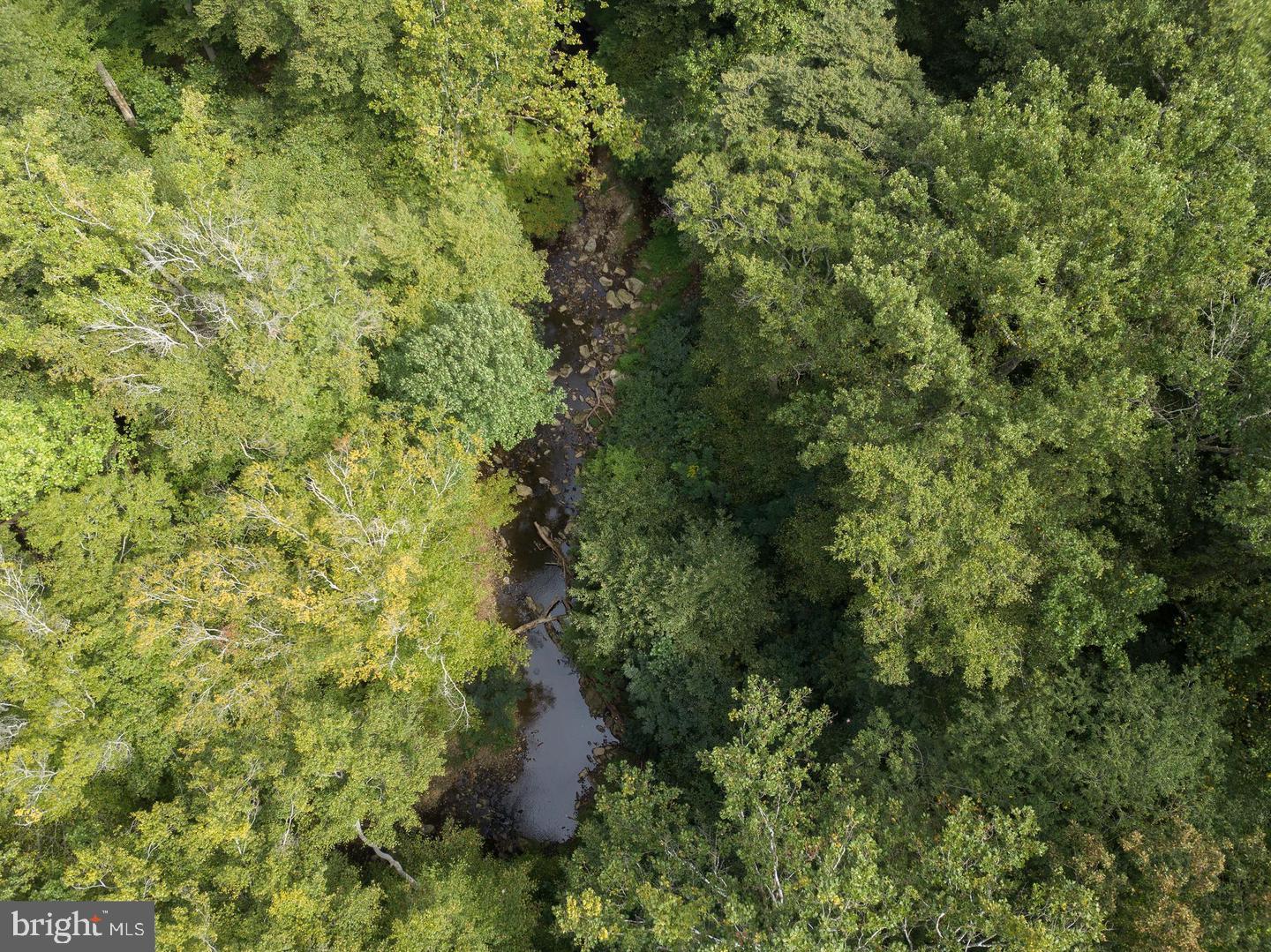 3111 Sawmill Road, Unit LOT 3 Newtown Square, PA 19073 - Photo 5 of 9 a view of a forest with a tree