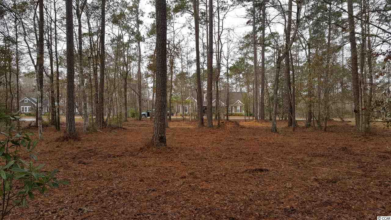 Lot 234 Chamberlin Road Myrtle Beach, SC 29588 - Photo 3 of 25 Gallery Image 3
