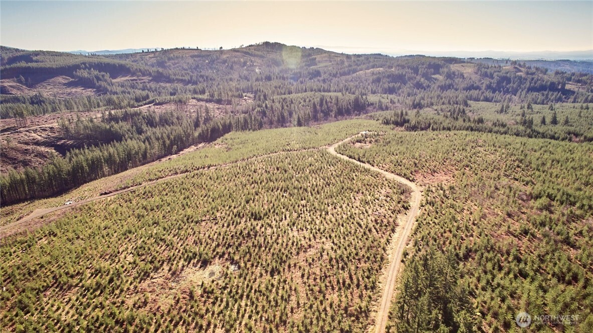 4 Northeast Jones Creek Road Camas, WA 98607 - Photo 14 of 29 a view of a dry yard with mountains in the background