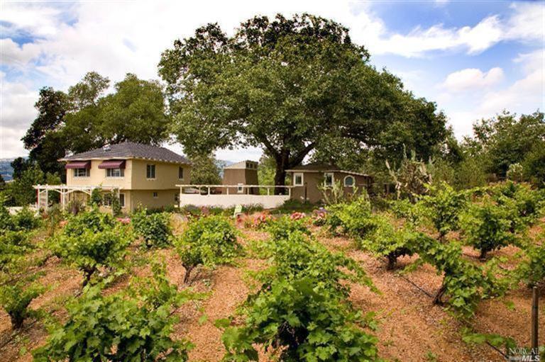 454 Alexander Valley Road Healdsburg, CA 95448 - Photo 1 of 1 The Villa and Mouse House from vineyard