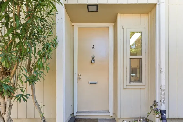 a view of front door with a potted plant