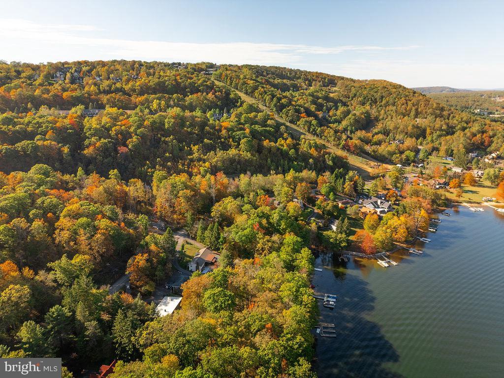 1321 Marsh Hill Road McHenry, MD 21541 - Photo 41 of 42 a view of lake