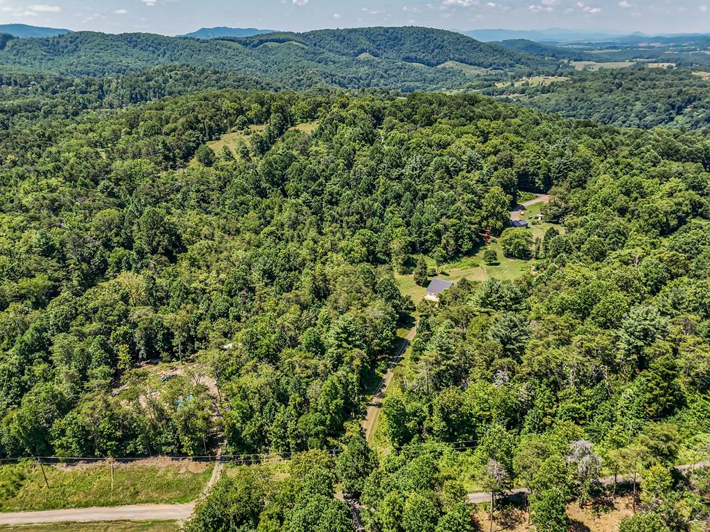 309 Timber Road Barren Springs, VA 24313 - Photo 58 of 66 Gallery Image 58