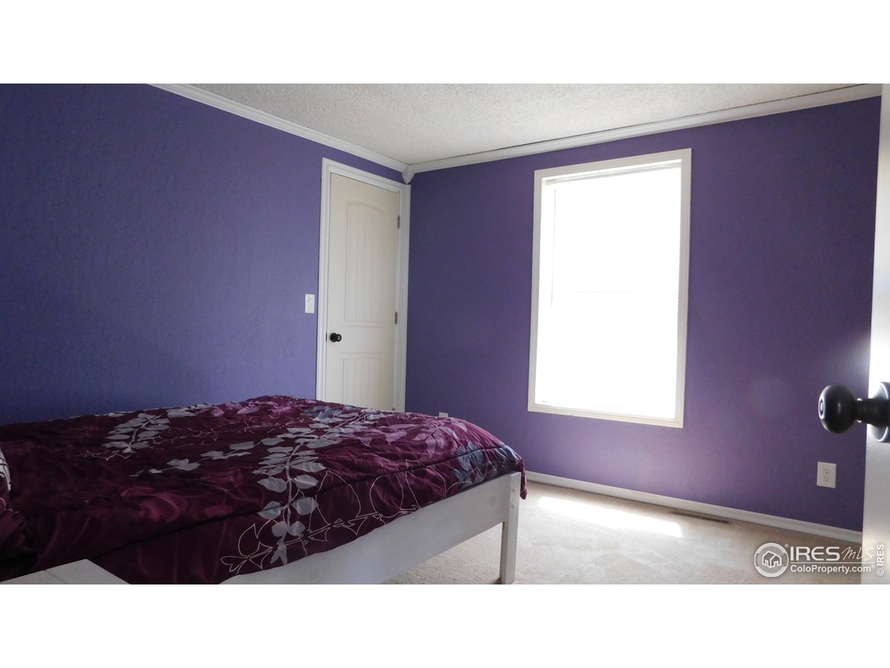 182 Pine Road Golden, CO 80403 - Photo 18 of 34 2nd Bedroom