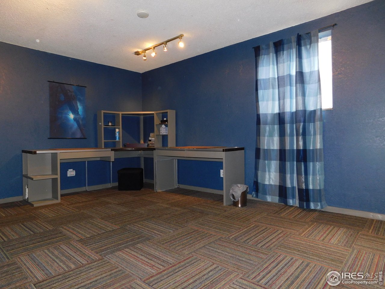 182 Pine Road Golden, CO 80403 - Photo 20 of 34 4th Room in Basement