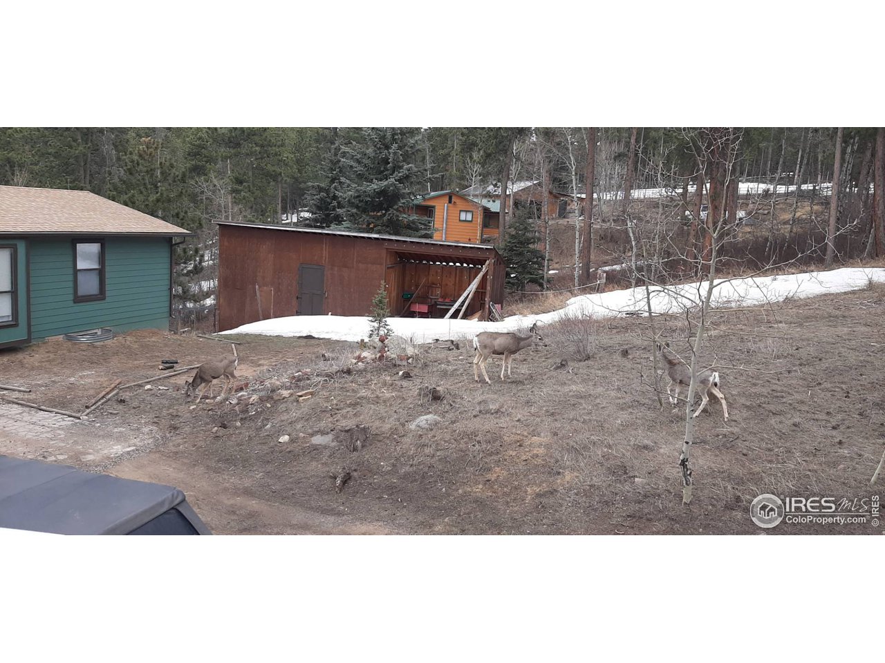 182 Pine Road Golden, CO 80403 - Photo 28 of 34
