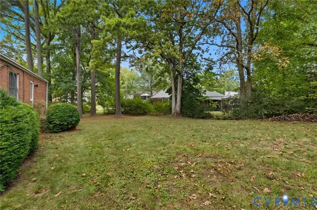 a view of a backyard with large trees