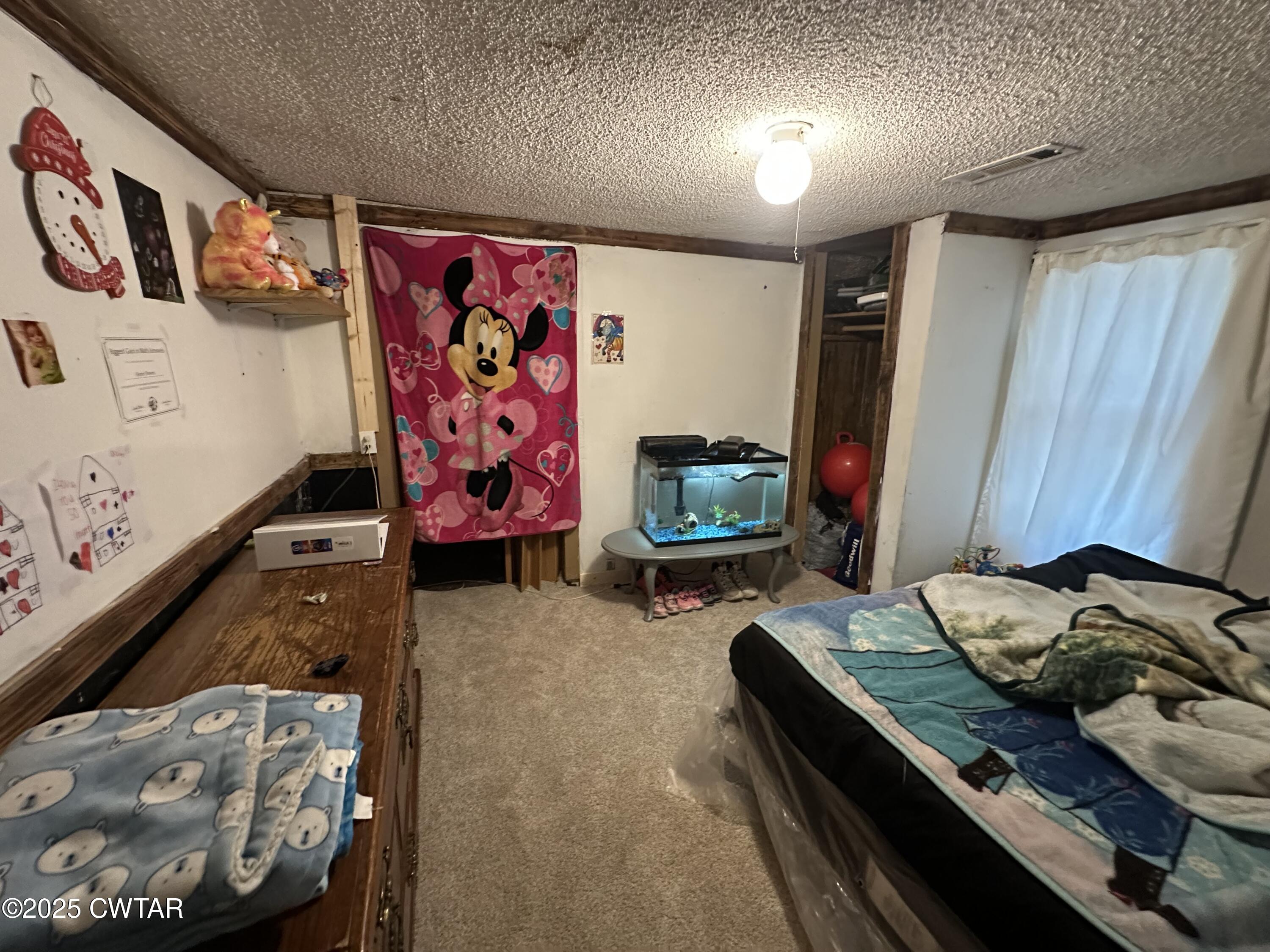 271 Fletcher Road Dyer, TN 38330 - Photo 4 of 11 IMG_3789