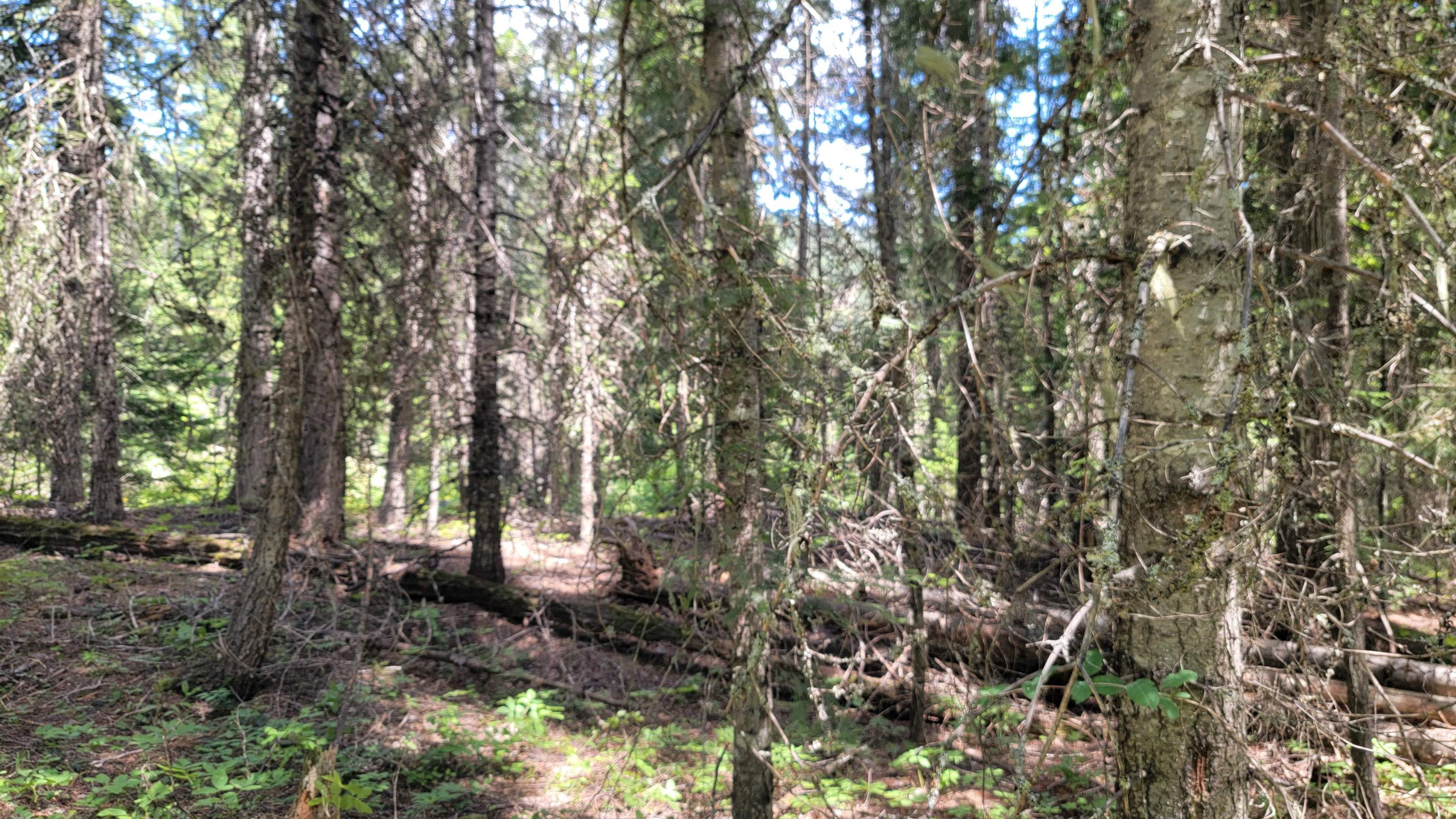 Nkn Bead Lake Road Newport, WA 99156 - Photo 12 of 44 Gallery Image 12
