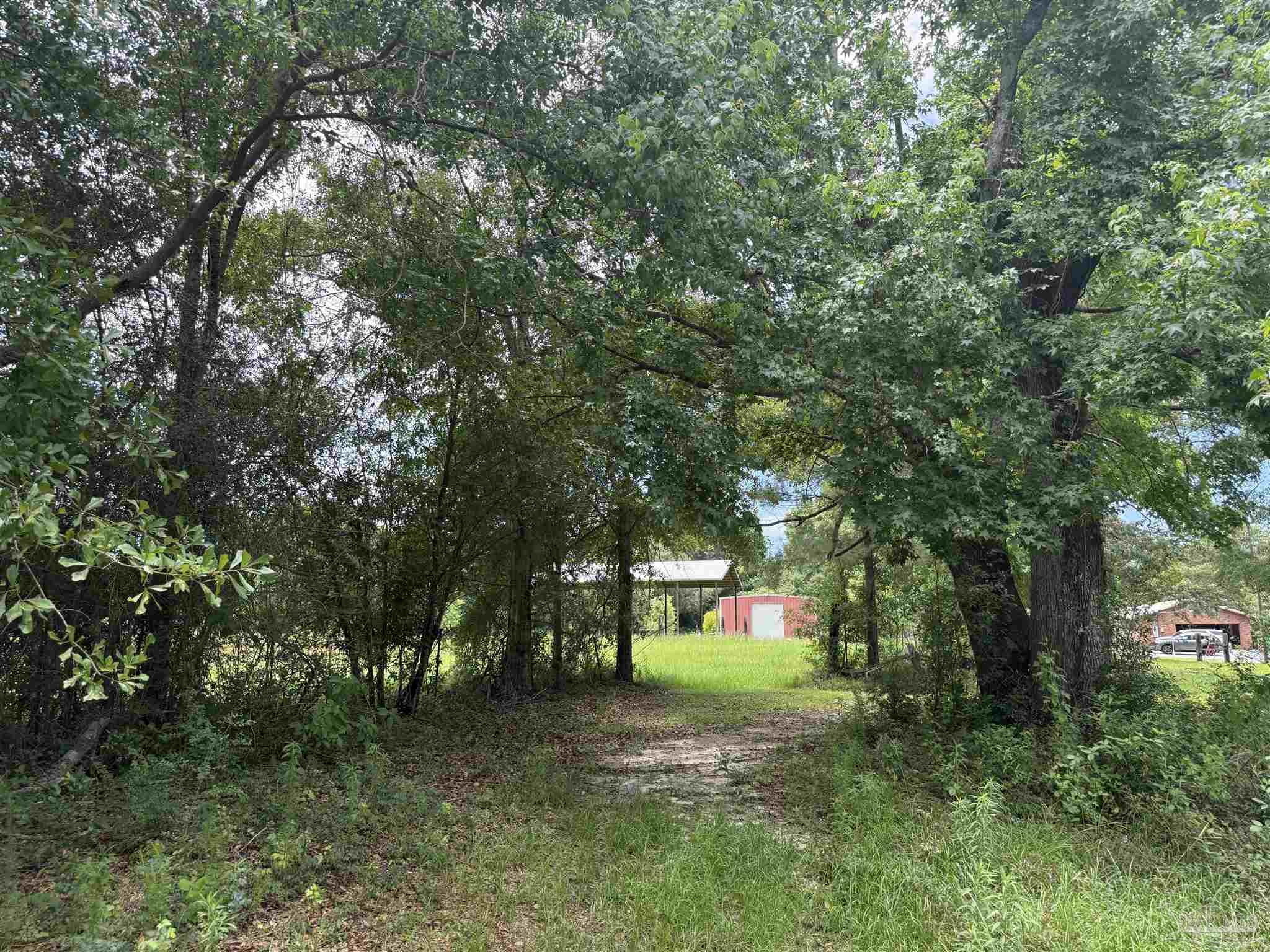 296 Salters Lake Road Century, FL 32535 - Photo 20 of 34