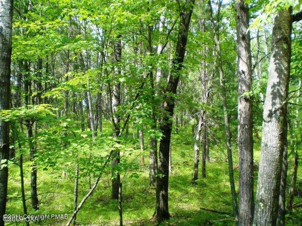 628 Algonquin Road Jim Thorpe, PA 18229 - Photo 1 of 1 Lot View
