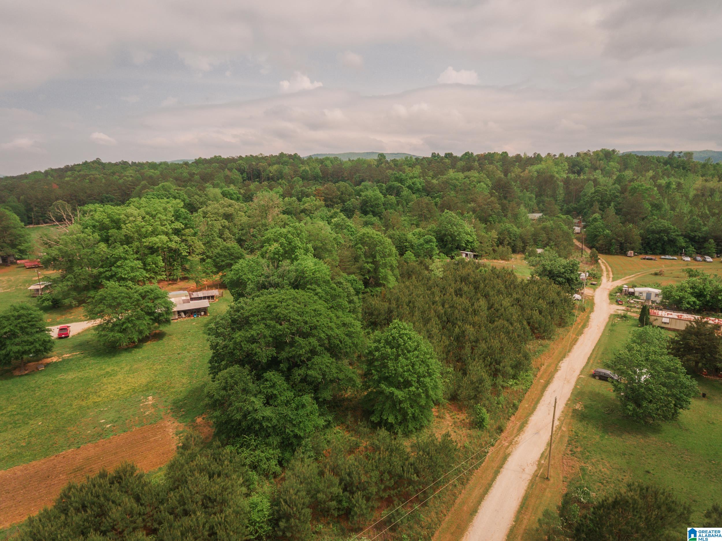 600 Possum Trot Road, Unit 10 34 Piedmont, AL 36272 - Photo 15 of 15