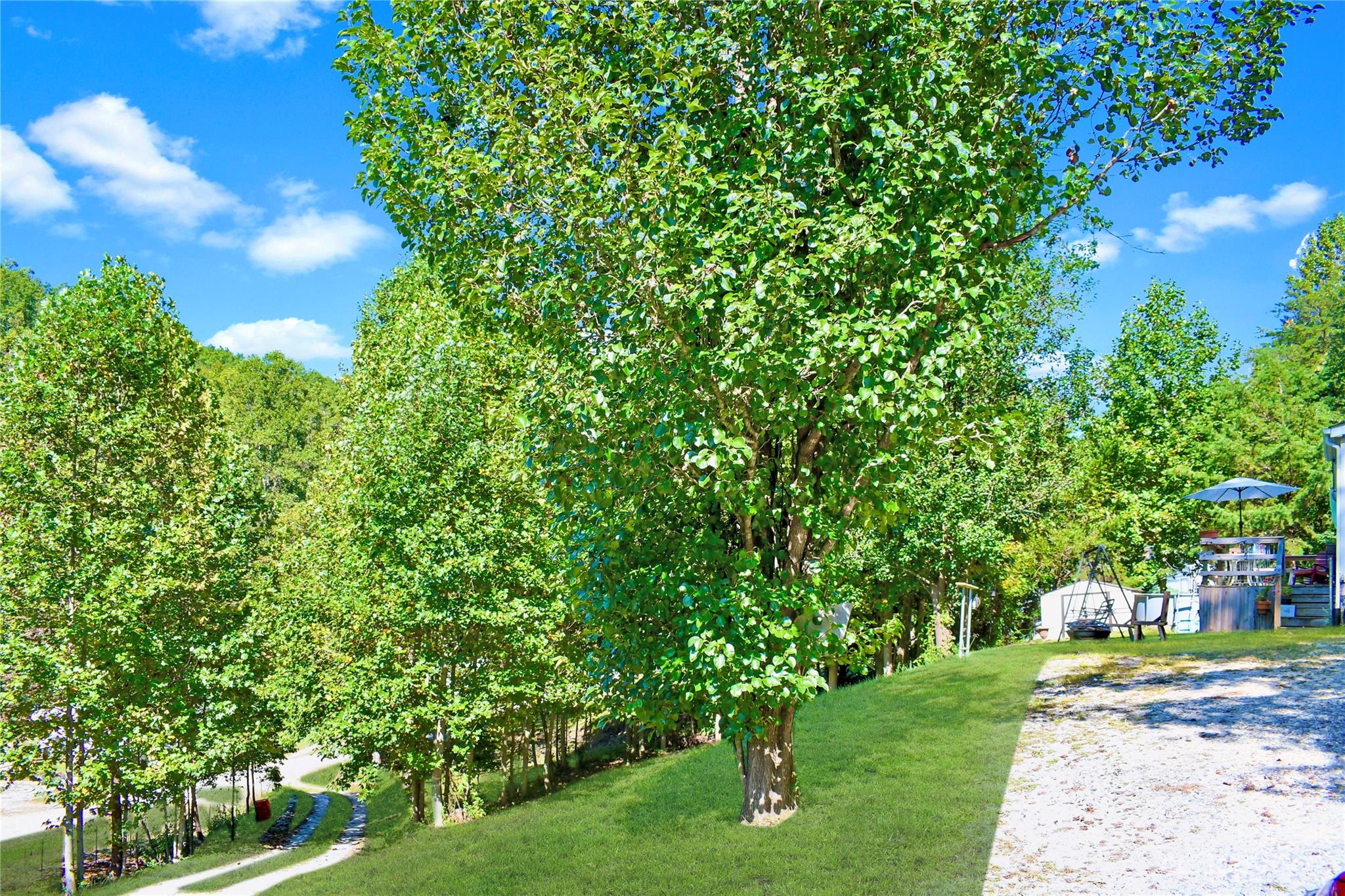 584 Ebenezer Road Old Fort, NC 28762 - Photo 33 of 41 a view of a yard with a tree