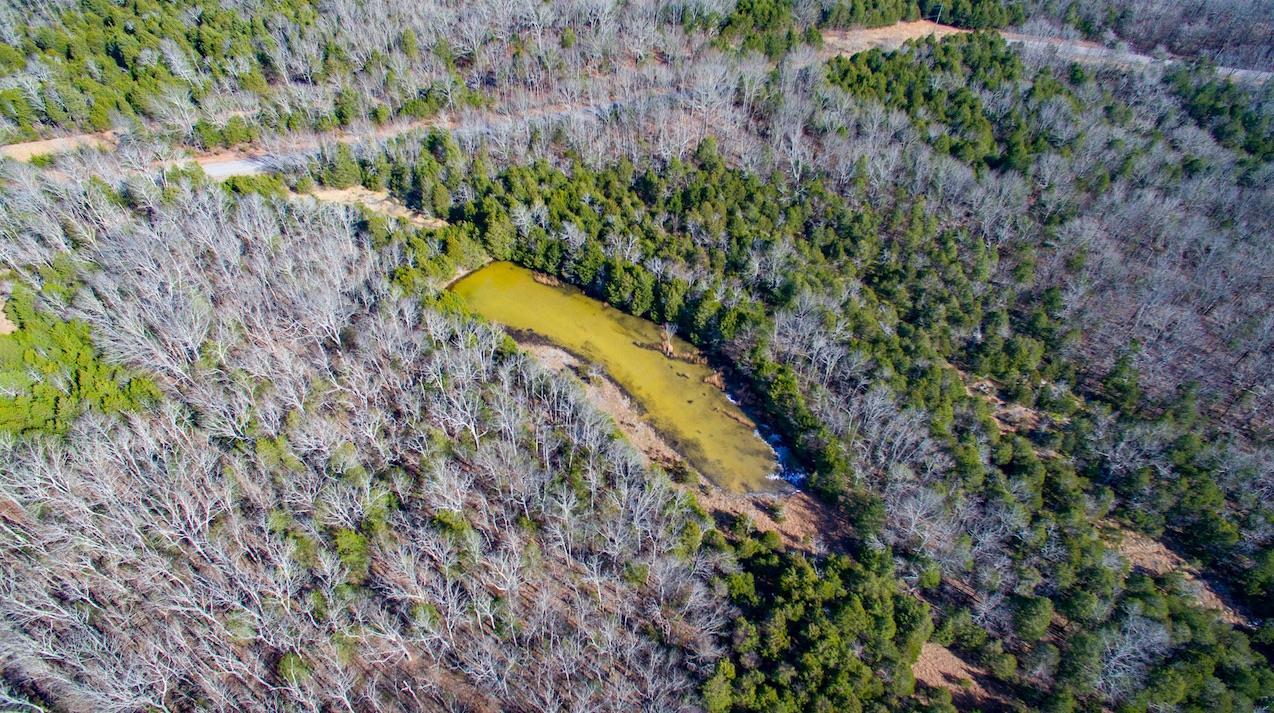 5180 Snail Shell Cave Road Rockvale, TN 37153 - Photo 3 of 3 Wet Weather Pond