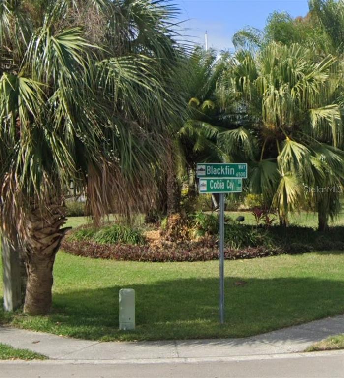 6508 Black Fin Way Apollo Beach, FL 33572 - Photo 19 of 19 a view of a park
