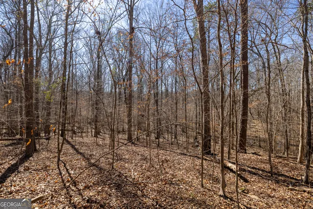 $96,903 | 2212 Escalade Court, Conyers, GA 30094