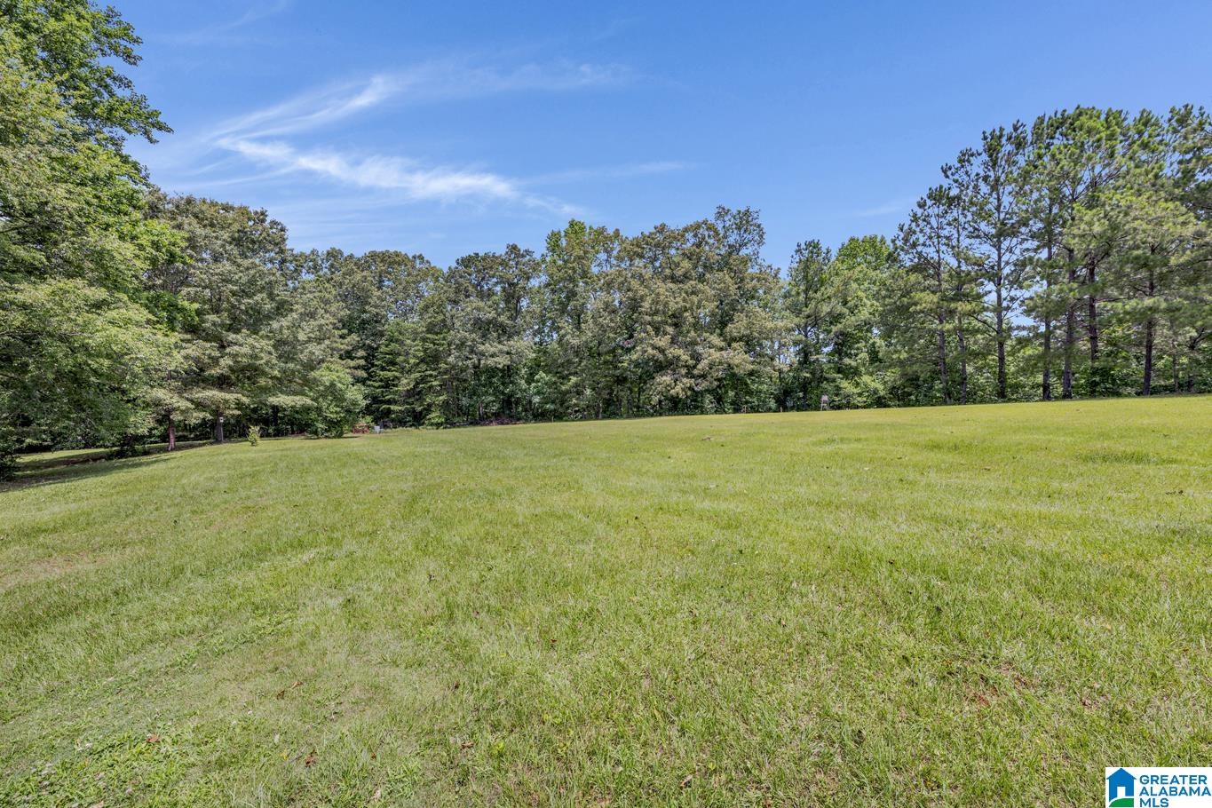8664 County Line Road Dora, AL 35062 - Photo 59 of 67
