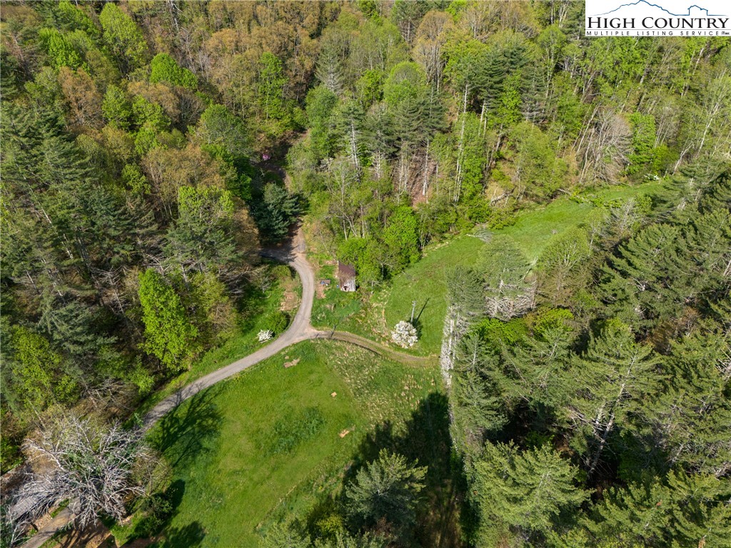 286 B Howell Road Lansing, NC 28643 - Photo 45 of 47 a view of a garden