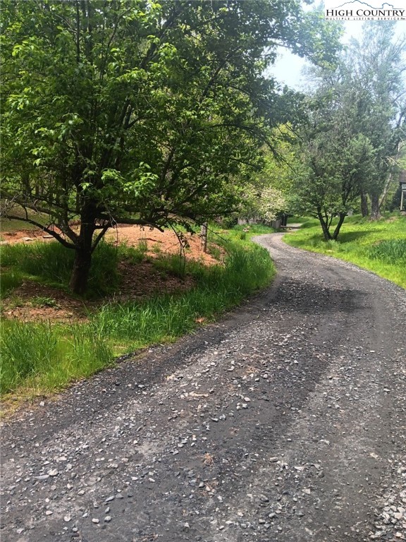 286 B Howell Road Lansing, NC 28643 - Photo 46 of 47 a view of a yard with plants and large trees
