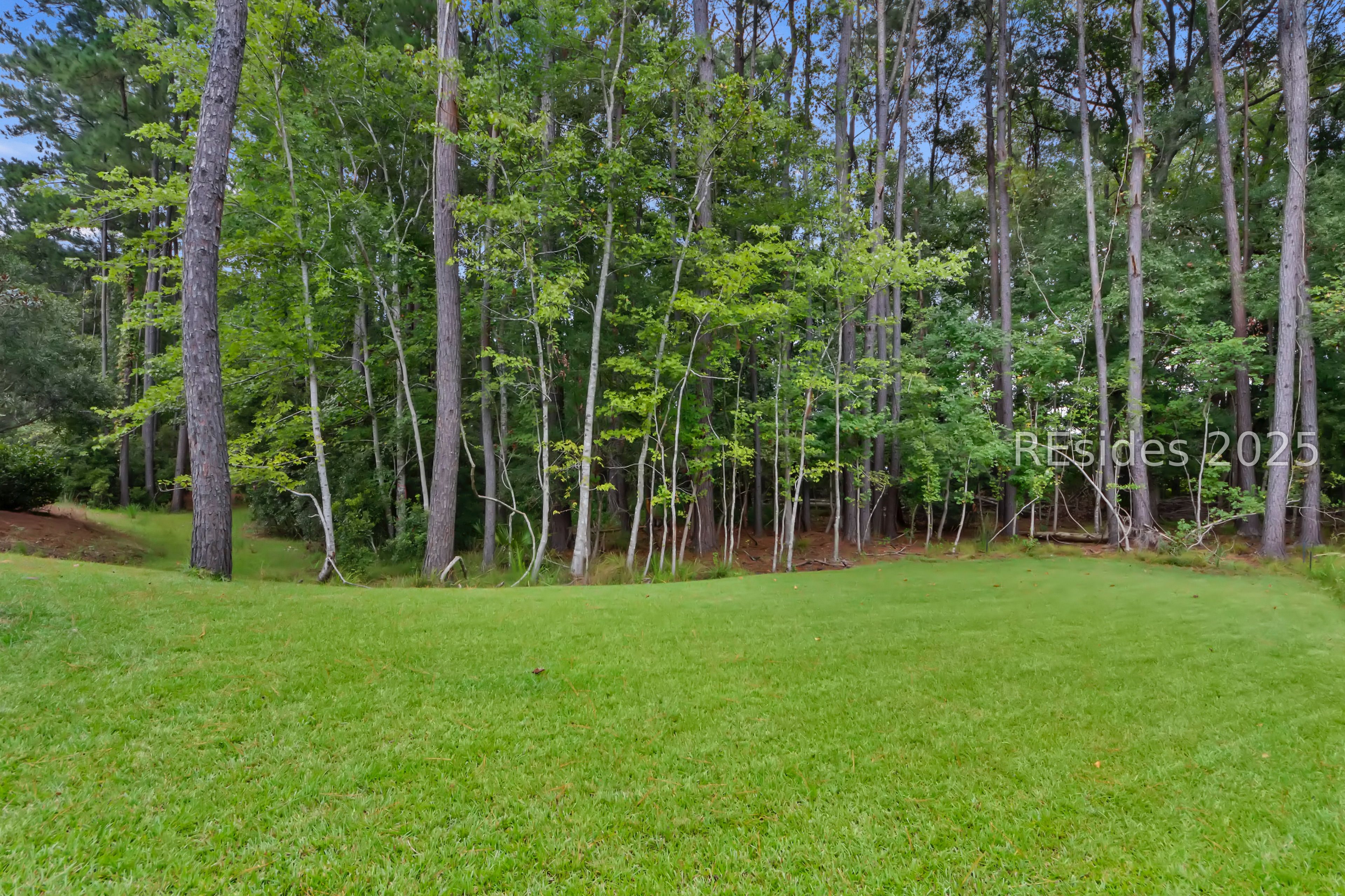 36 Blue Trail Court Bluffton, SC 29910 - Photo 39 of 81 Grass virtually enhanced