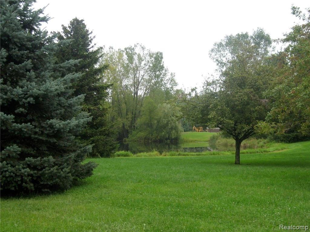 4225 Casey Road Dryden, MI 48428 - Photo 18 of 52
