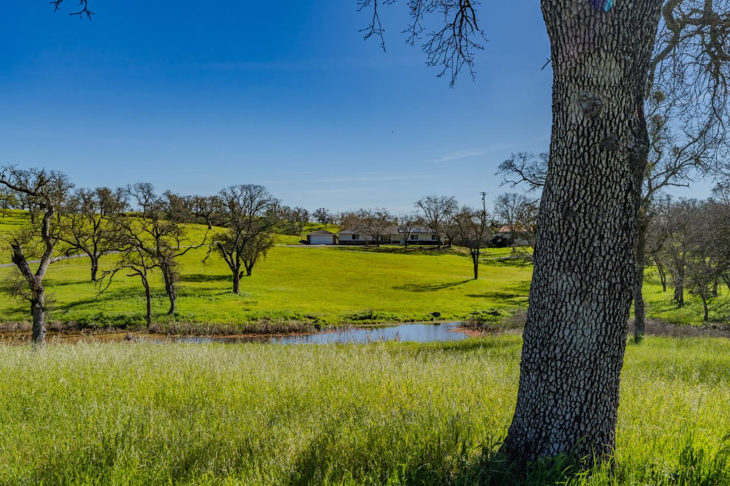 3290 Dry Creek Road Ione, CA 95640 - Photo 55 of 58