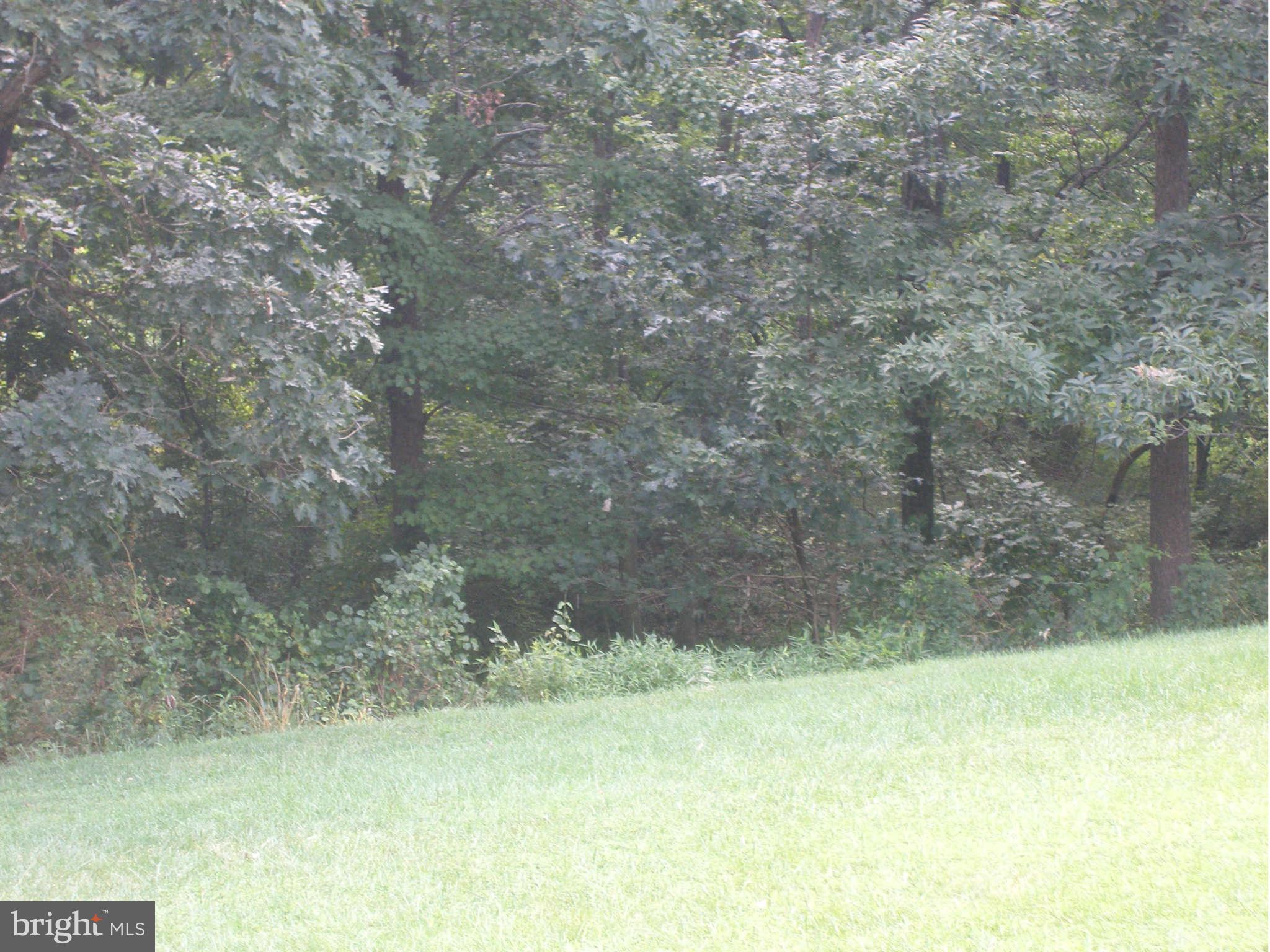 7785 Paddock Way Baltimore, MD 21244 - Photo 2 of 30 a view of a yard