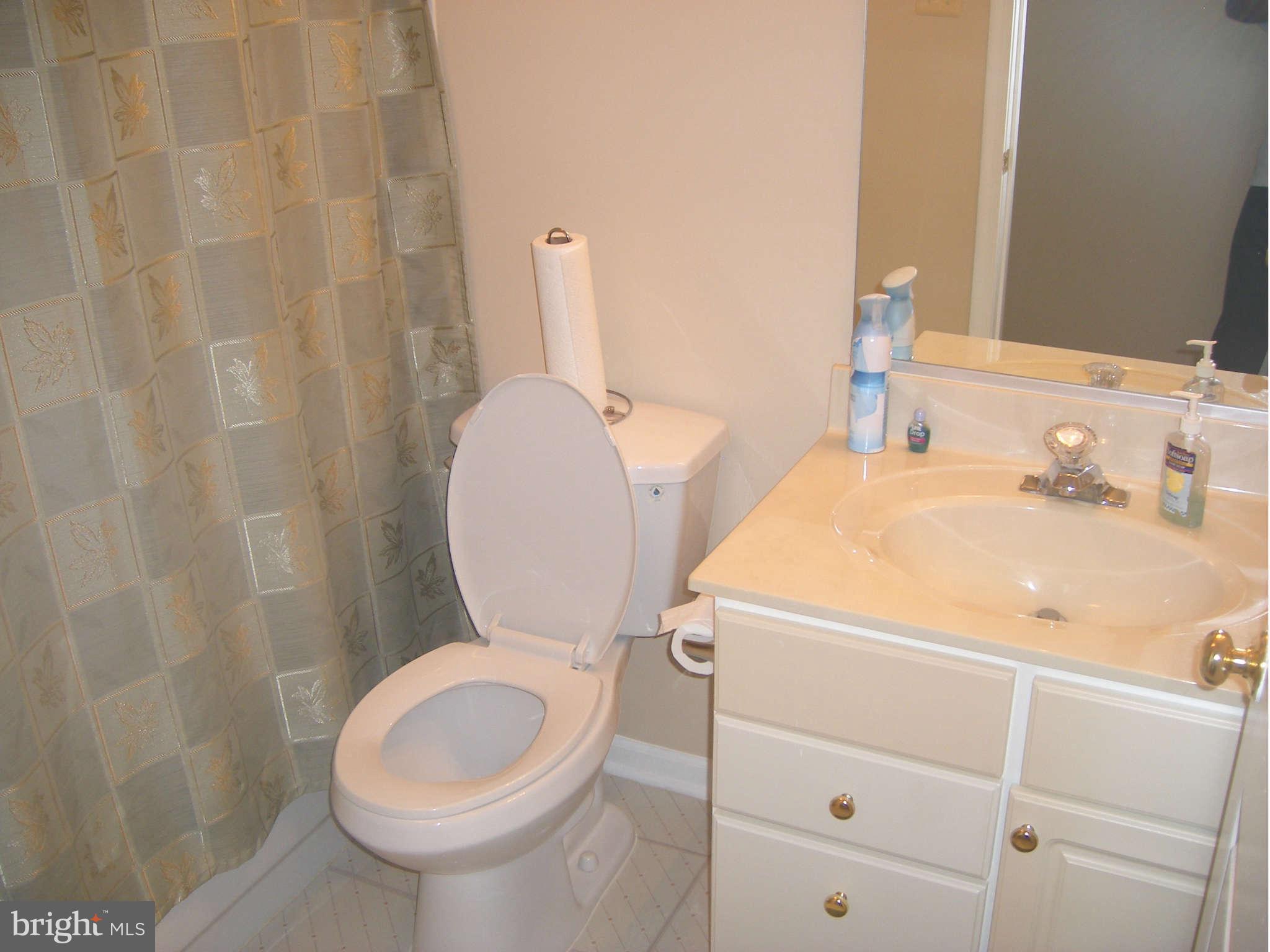 7785 Paddock Way Baltimore, MD 21244 - Photo 15 of 30 a bathroom with a sink a toilet and a mirror