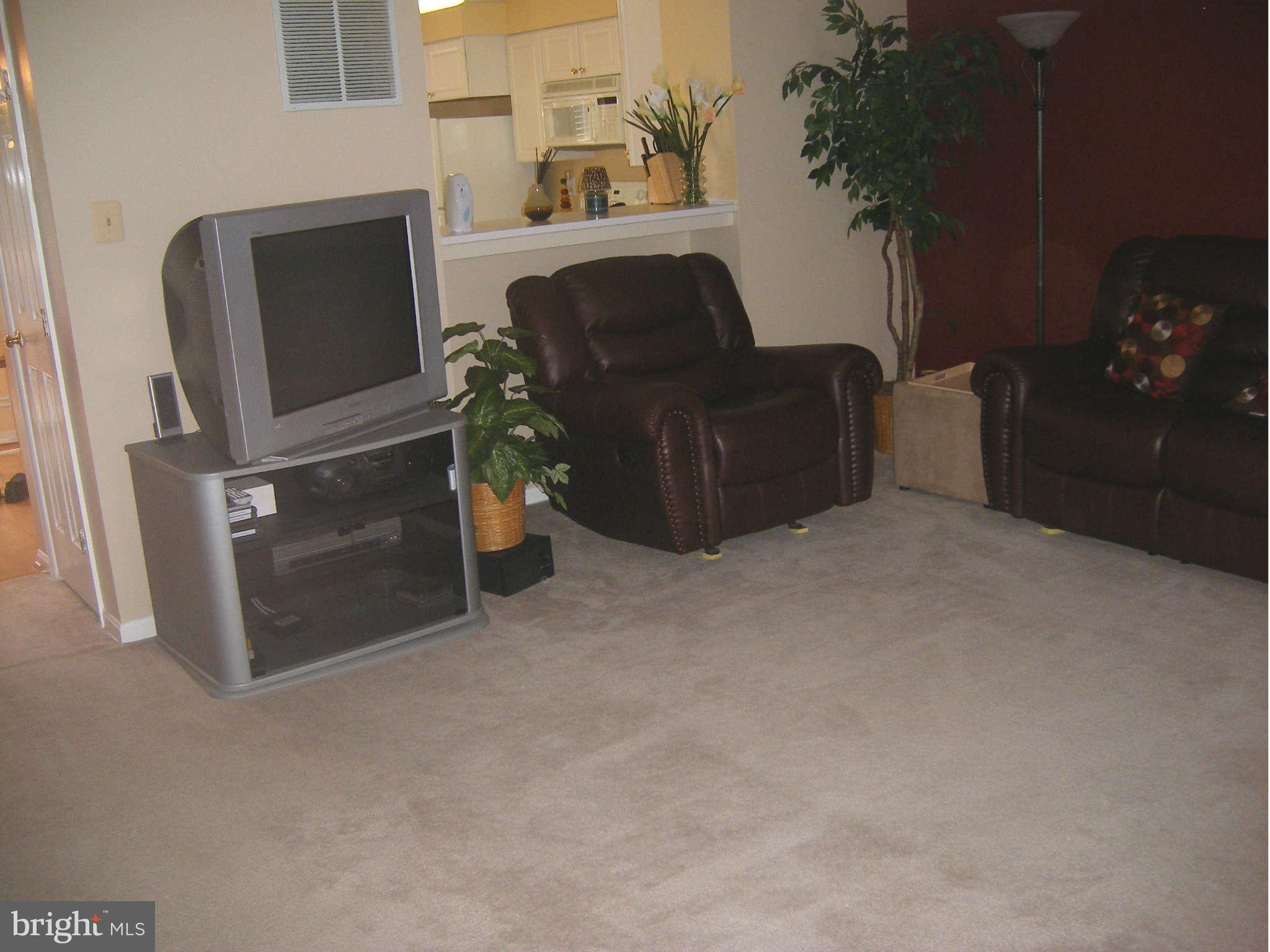 7785 Paddock Way Baltimore, MD 21244 - Photo 22 of 30 a living room with furniture a fireplace and a potted plant