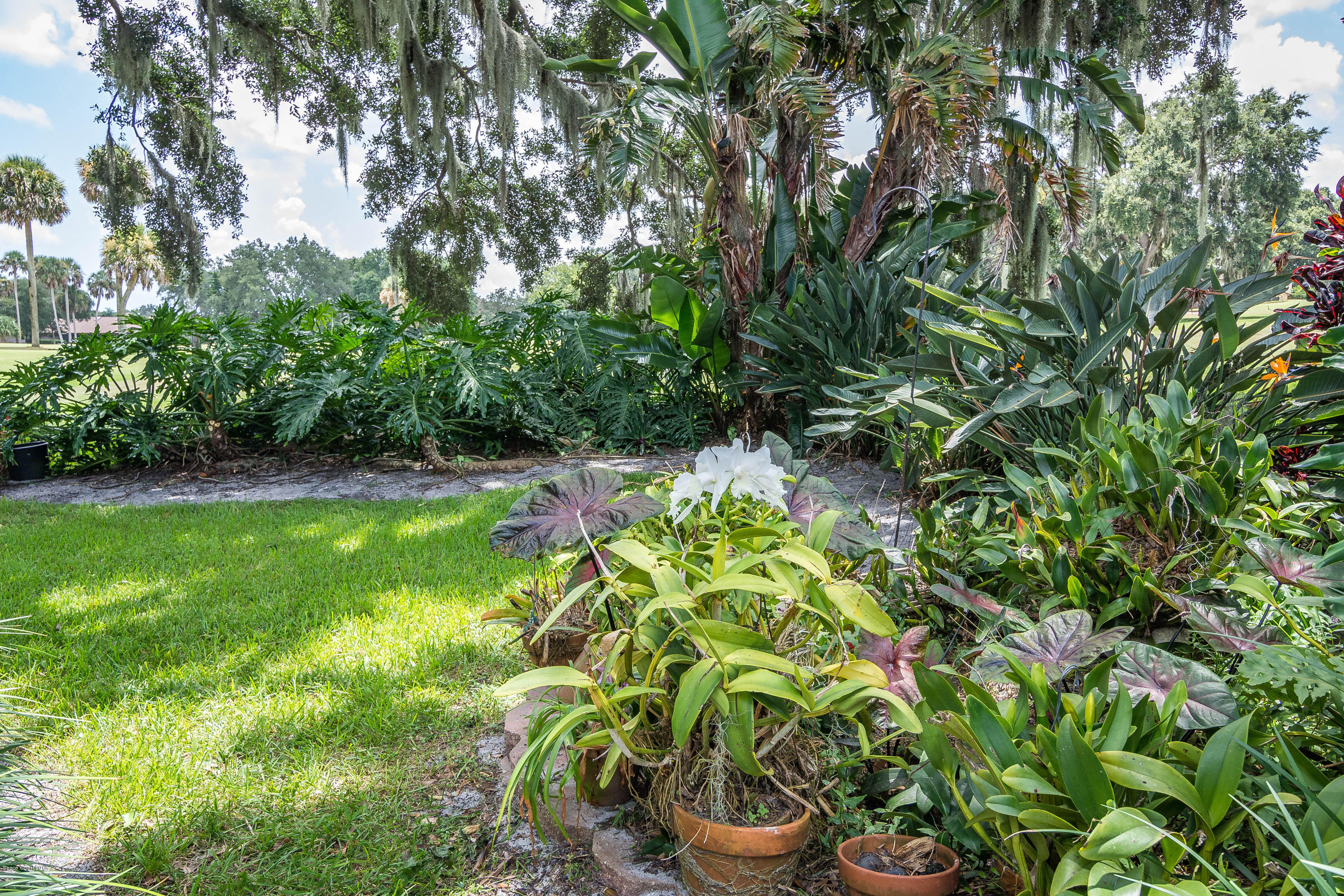 3785 Raney Road Titusville, FL 32780 - Photo 49 of 61 _DSC5141