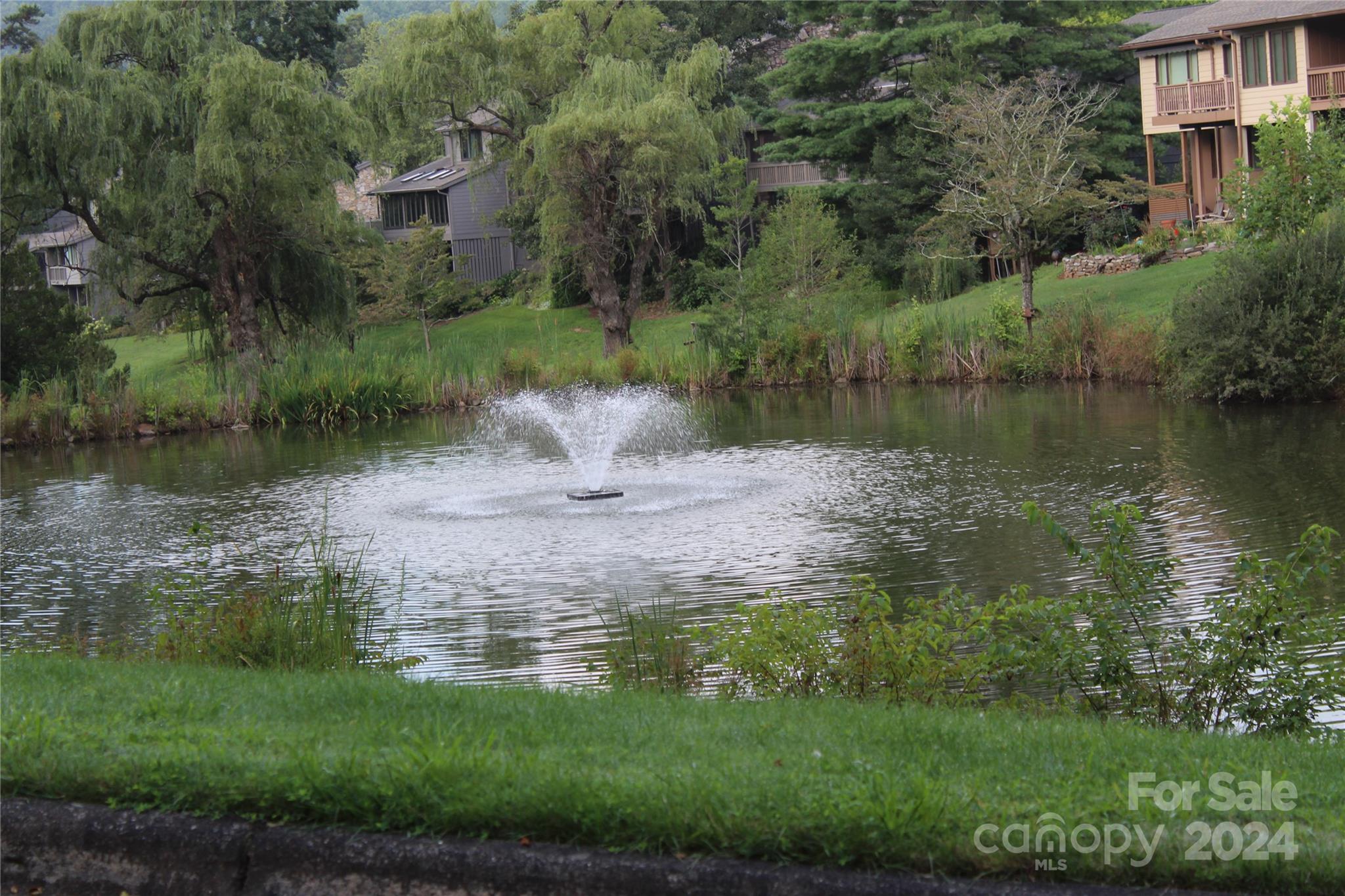 103 Crowfields Drive Asheville, NC 28803 - Photo 25 of 29 a view of a water pond with green yard