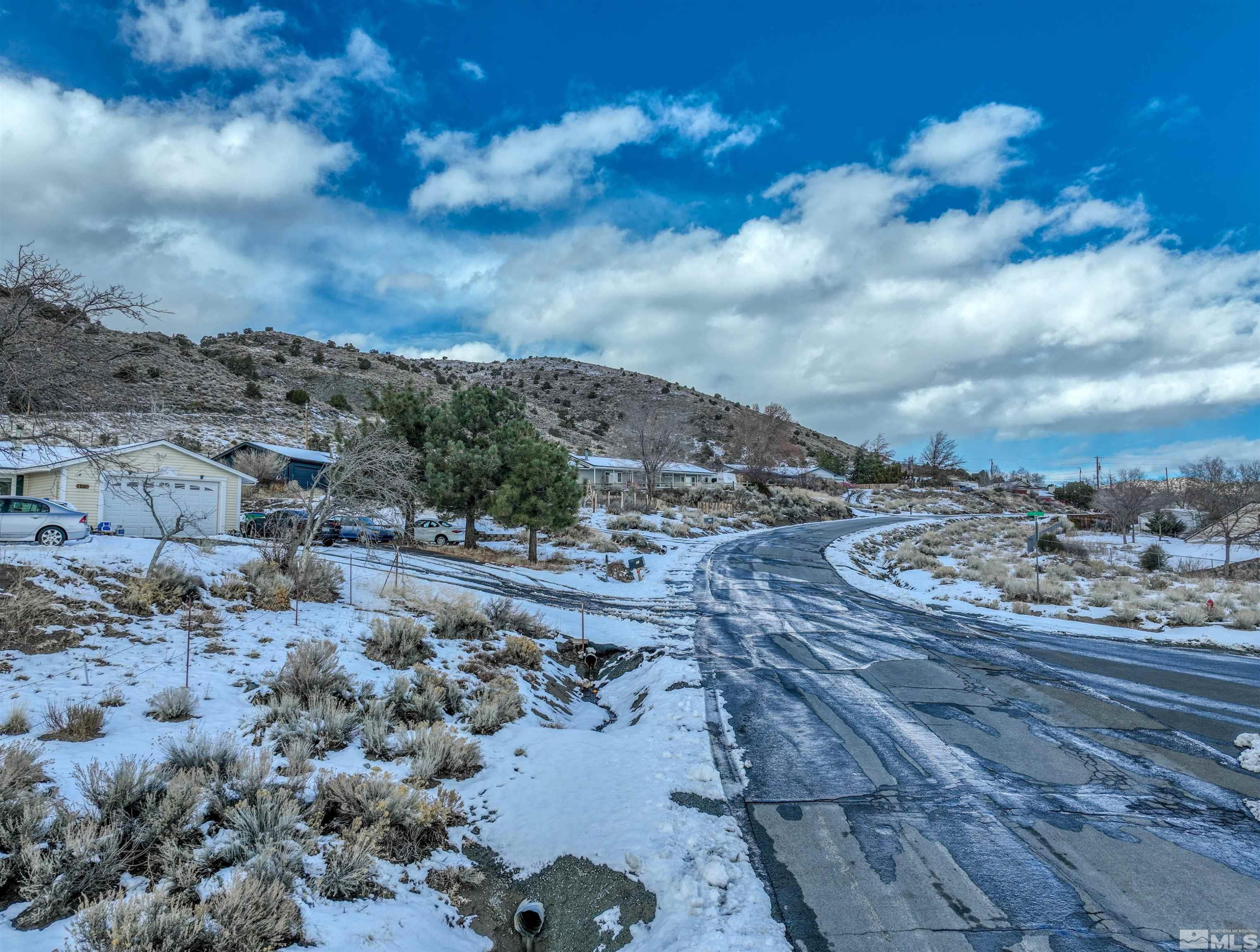 417 Oregon Boulevard Reno, NV 89506 - Photo 18 of 25 a view of a dry yard with lots of trees