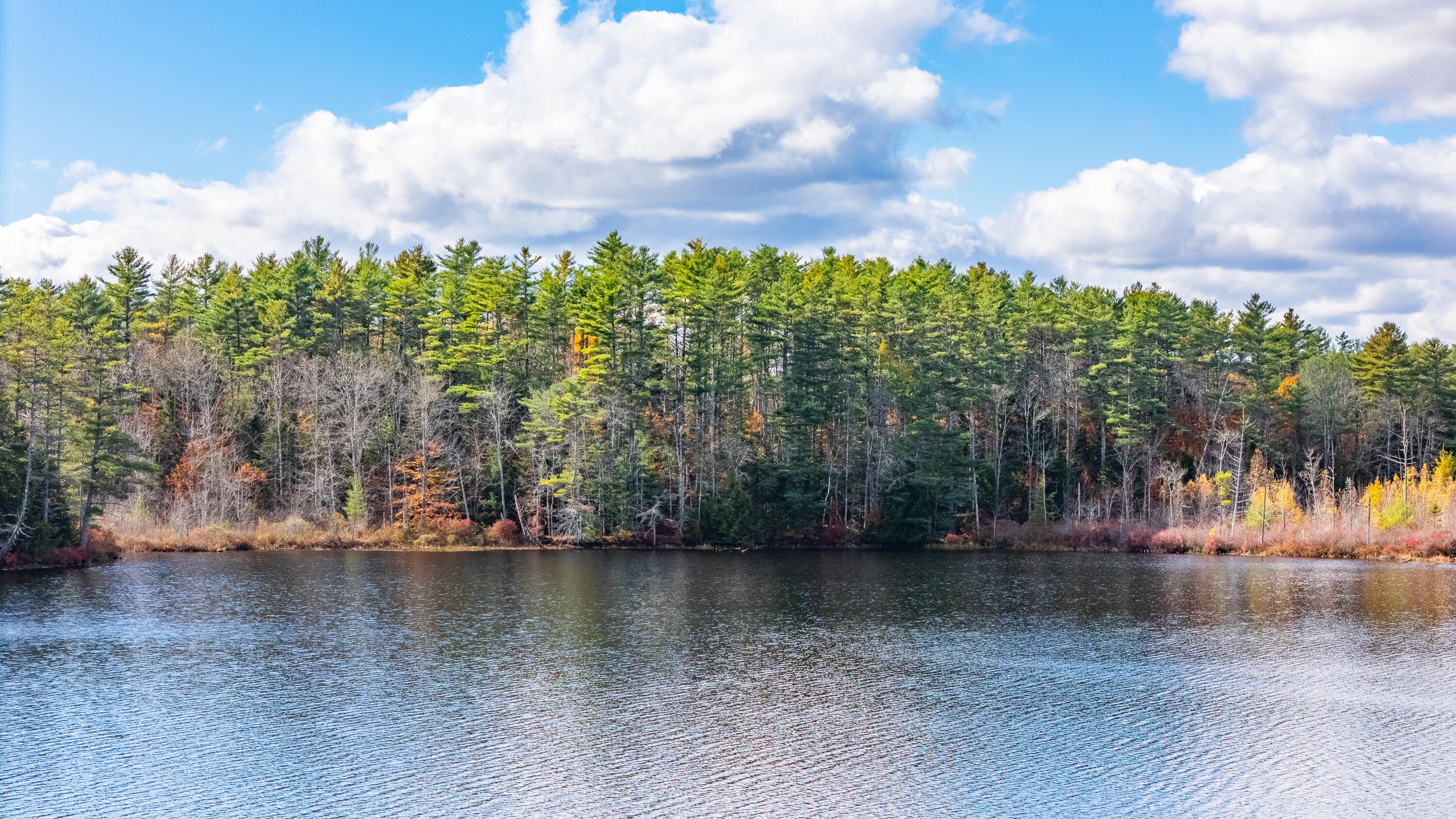 Lot 15-40 Gibbs Road Wiscasset, ME 04578 - Photo 104 of 107 Lot 8, 15 & 40 Gardiner Pond 102