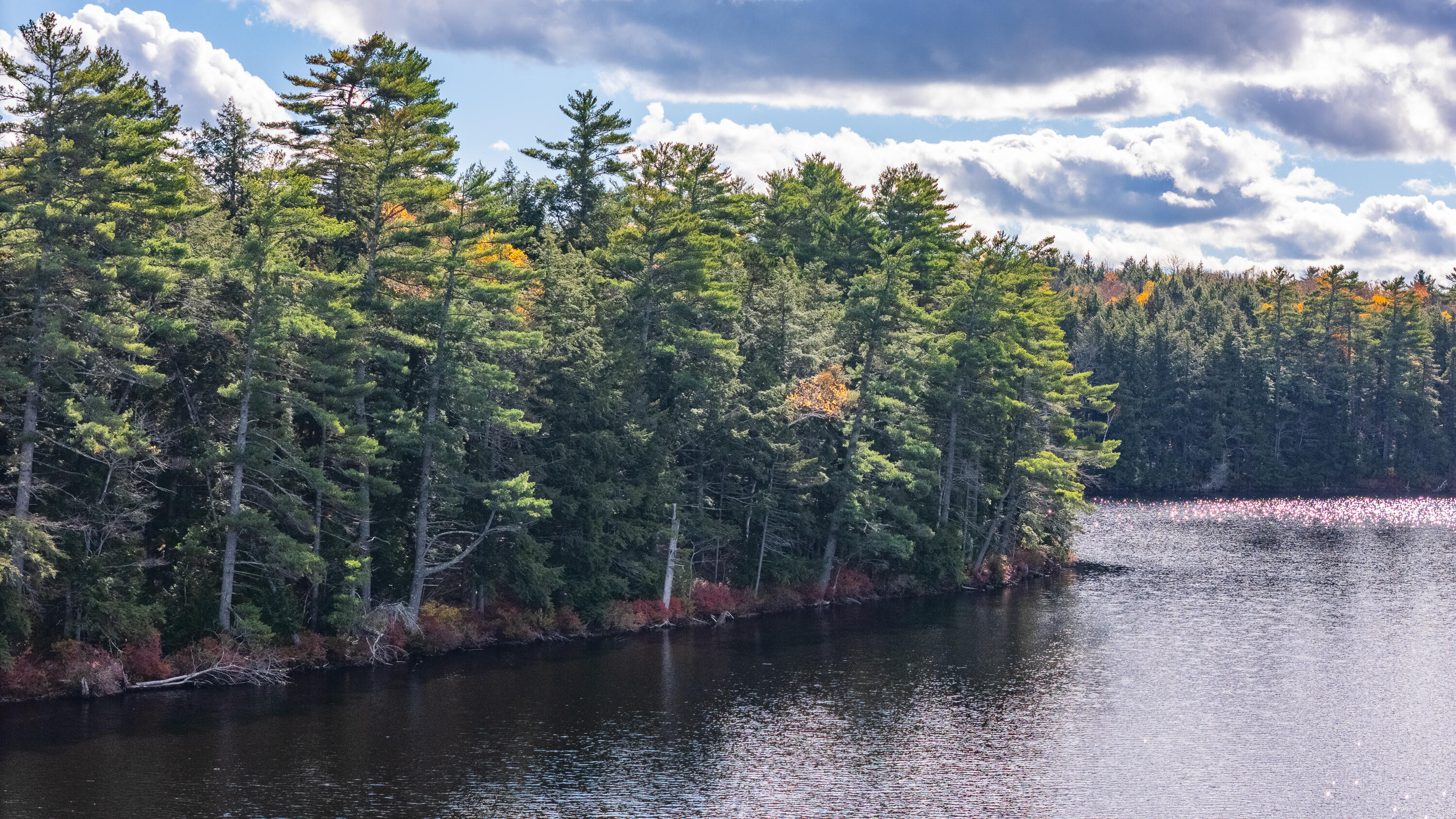 Lot 15-40 Gibbs Road Wiscasset, ME 04578 - Photo 106 of 107 Lot 8, 15 & 40 Gardiner Pond 104