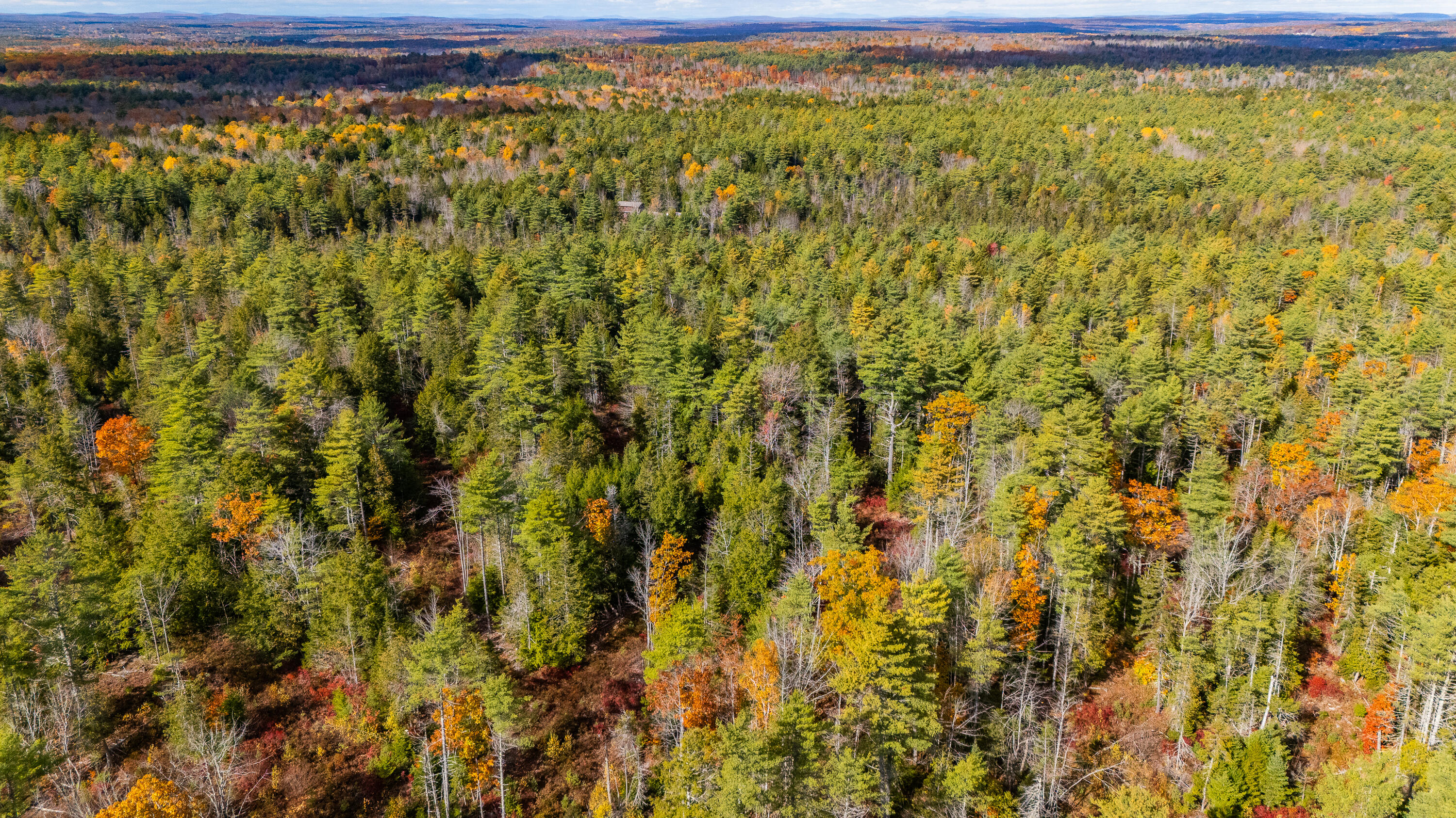 Lot 15-40 Gibbs Road Wiscasset, ME 04578 - Photo 34 of 107 Lot 8, 15 & 40 Gardiner Pond 032